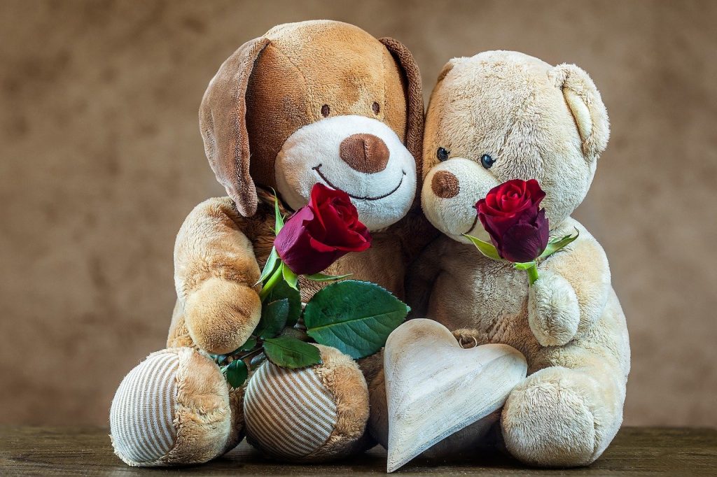 teddy, teddy bears, roses